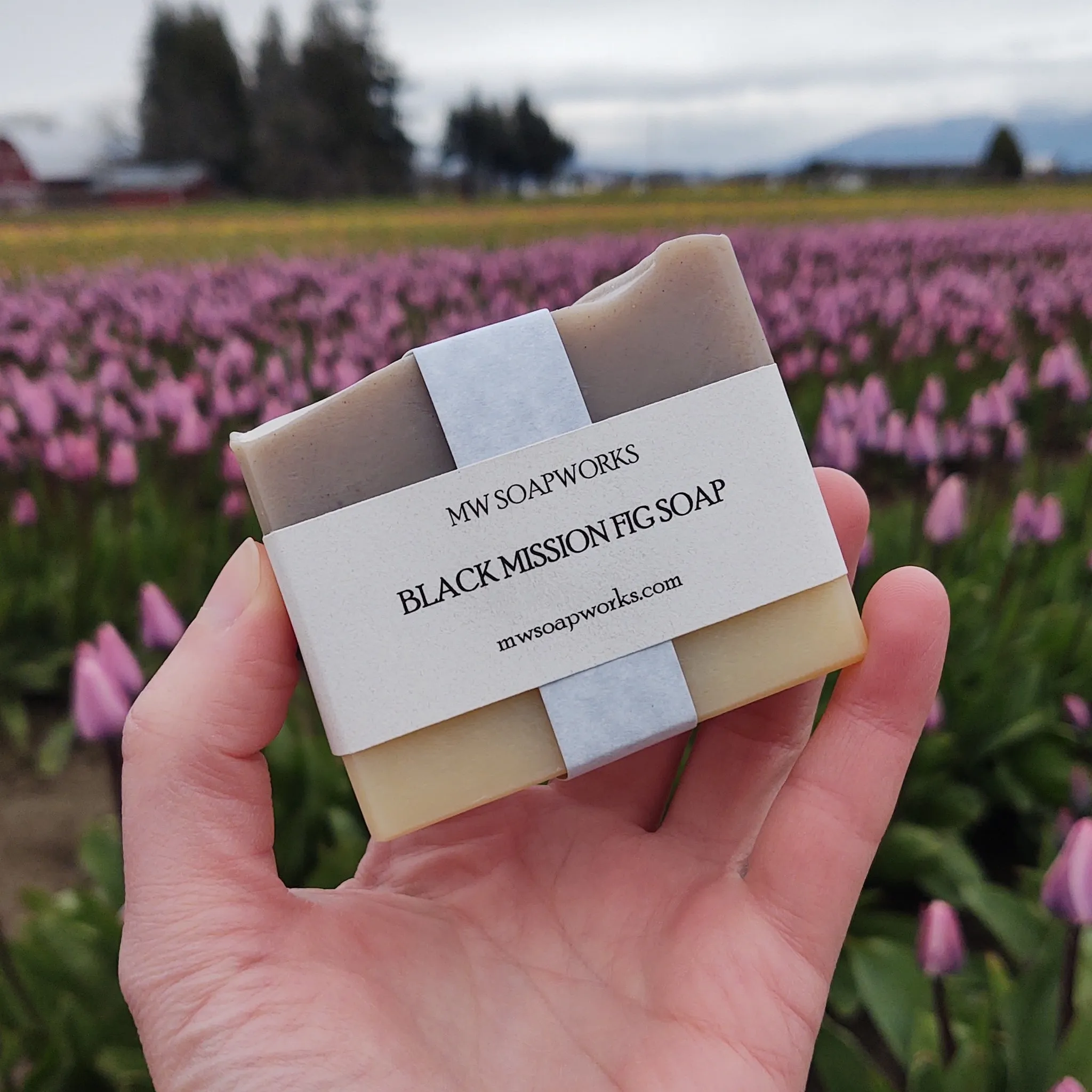 Mwsoapworks