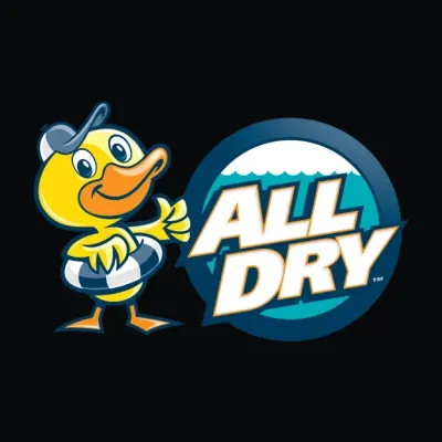 All Dry franchise logo