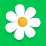 Myflowers UK logo