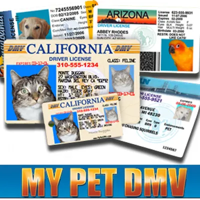 MyPetDMV - The original Pet Drivers License logo