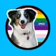 Alicia Pet Care Center logo