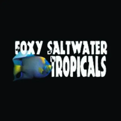 Foxy Saltwater Tropicals logo