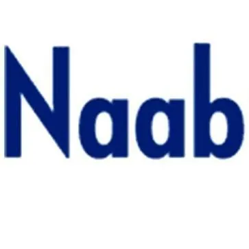 Naab Consulting logo