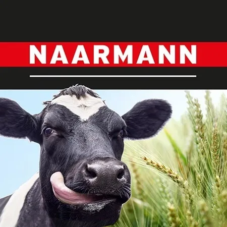 Privatmolkerei Naarmann GmbH logo