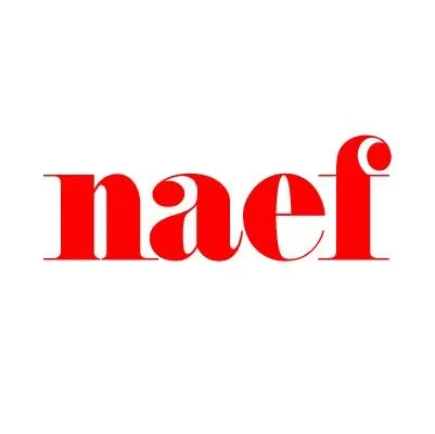 Naef Holding logo