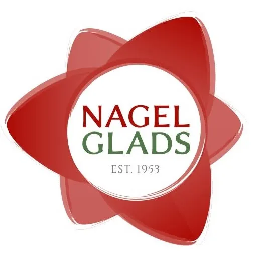 Nagelglads