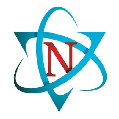 Nalley Consulting logo