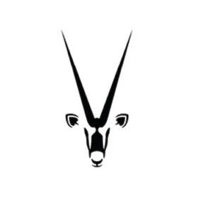 Namibia Critical Metals Inc. logo