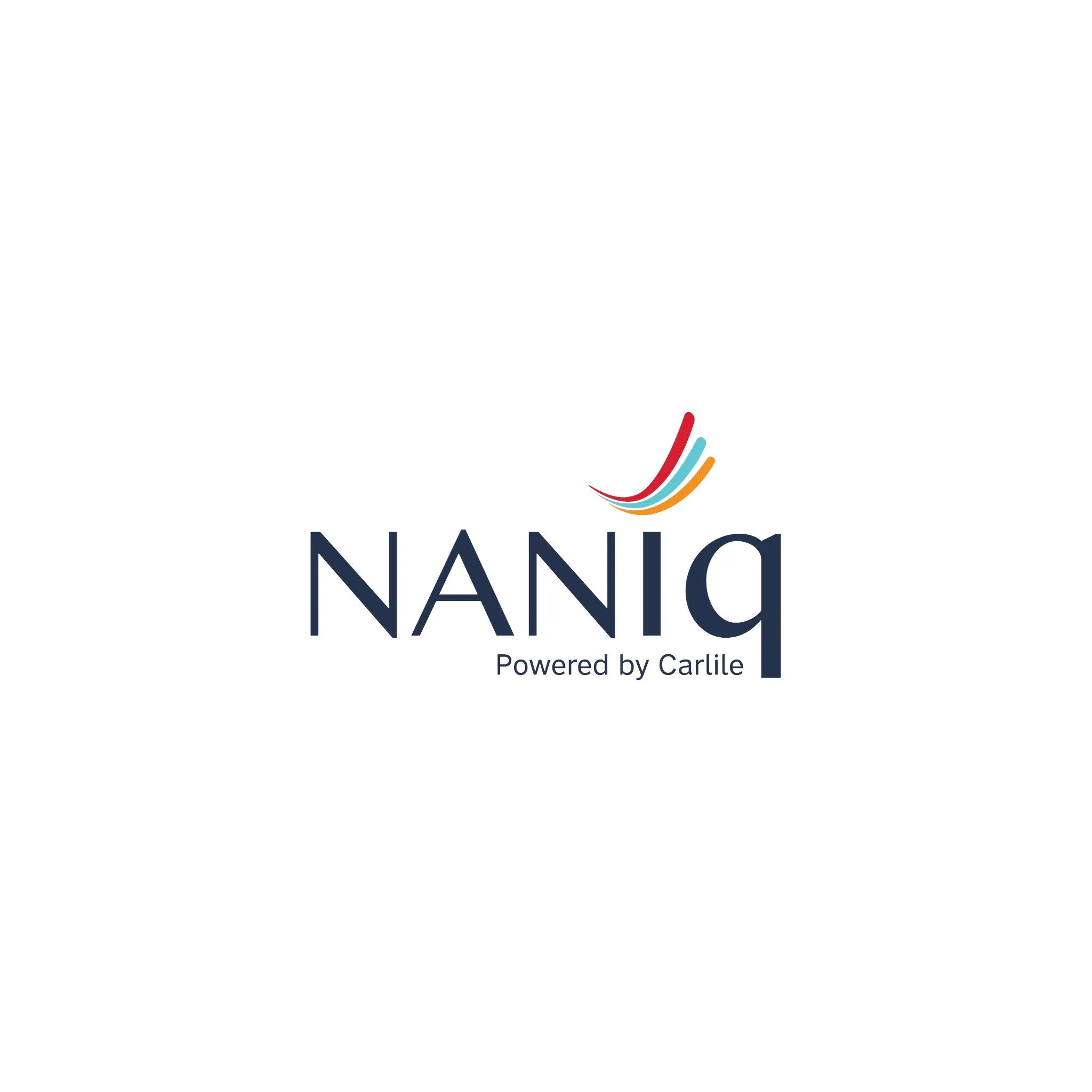 Naniq Global Logistics logo