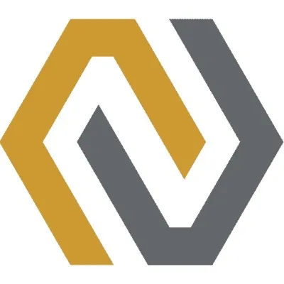 NanoStruct logo