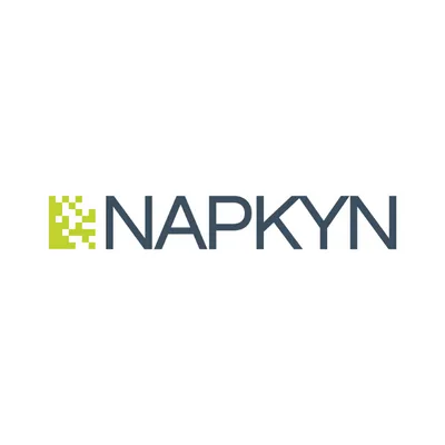 Napkyn Analytics Logo