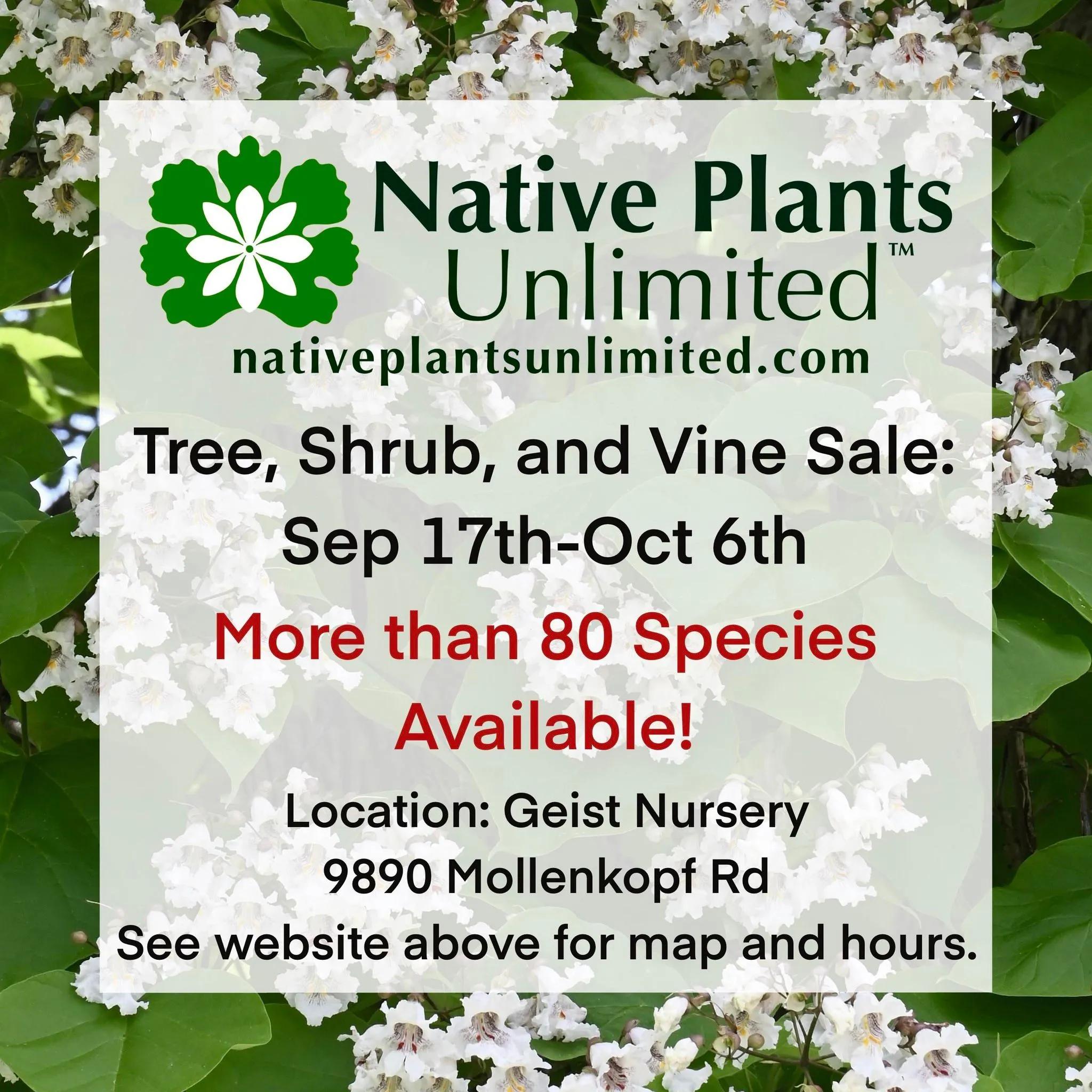 Nativeplantsunlimitedshop
