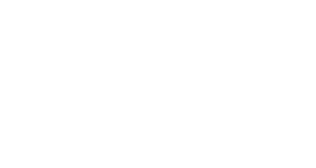 Natura BR light logo