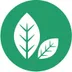 Natura Market logo
