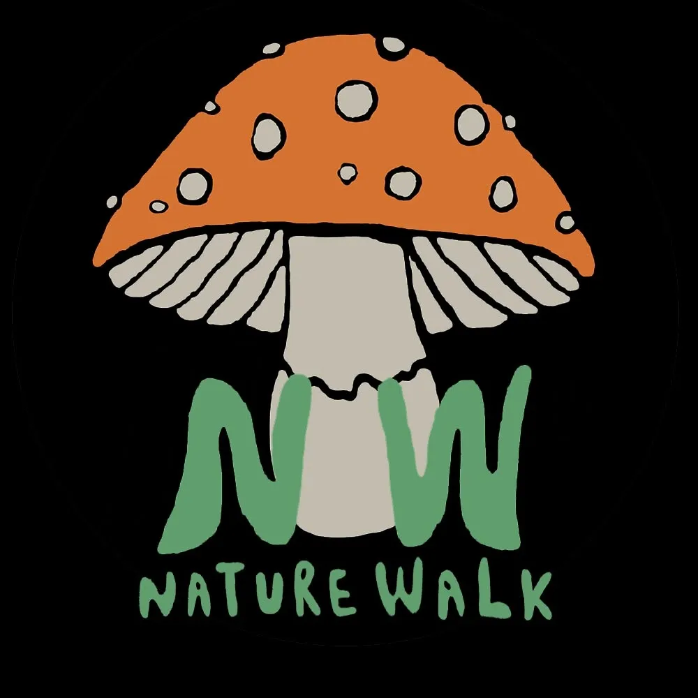 Naturewalkstudio