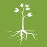 Naturopathic Family Health logo