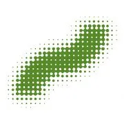 NATURSTROM AG