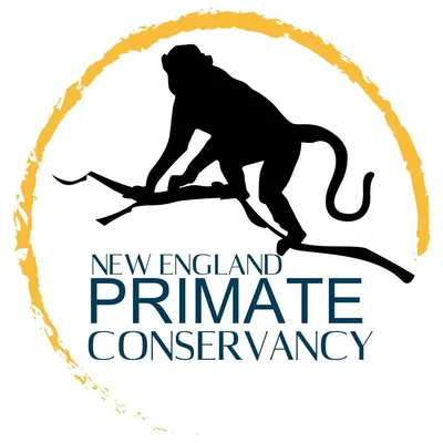 Primate Co.