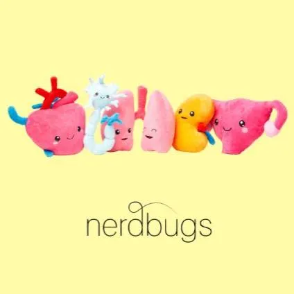 Nerdbugs LLC