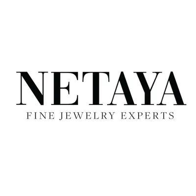 Netaya logo