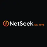 NetSeek logo/icon