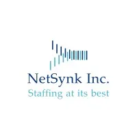 Netsynk logo