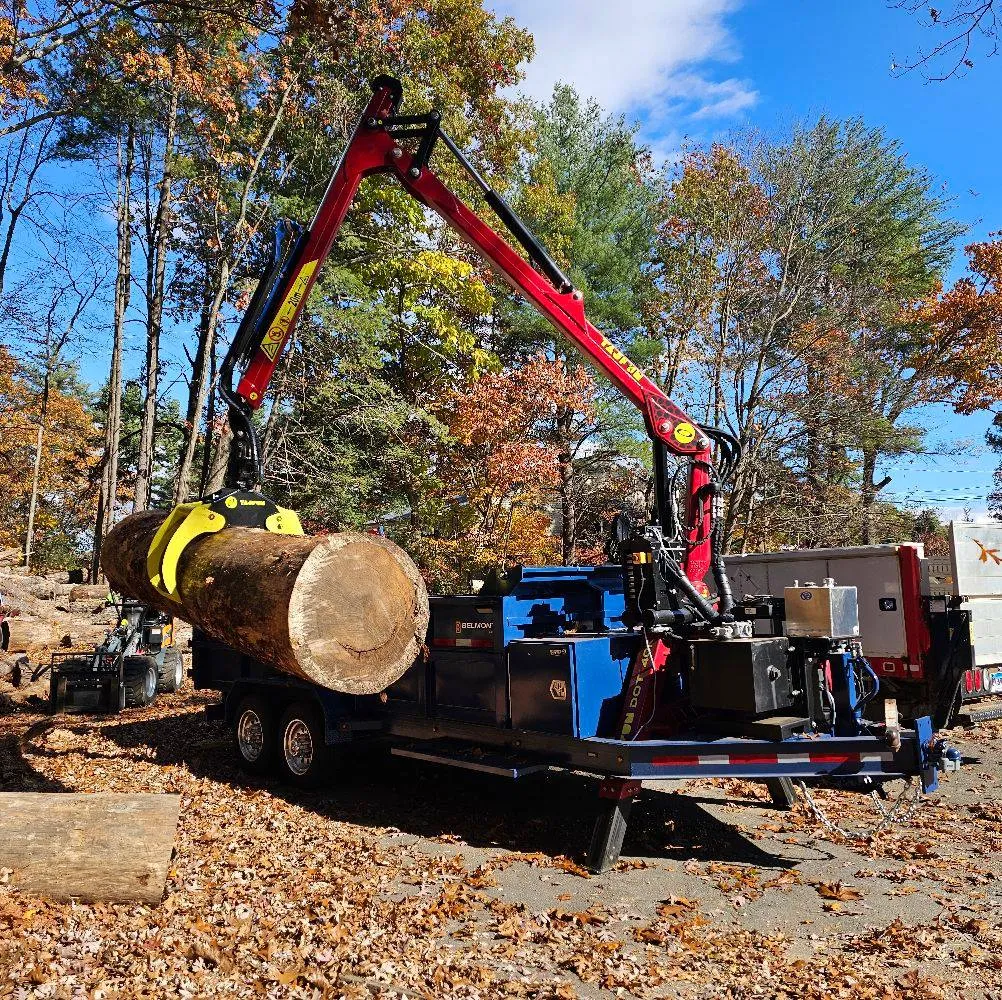 Newenglandpine