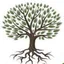 New Life Functional Medicine