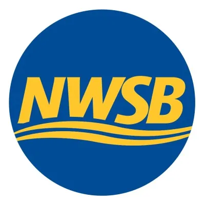 The New Washington State Bank logo