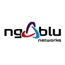 Logo NG-BLU Networks