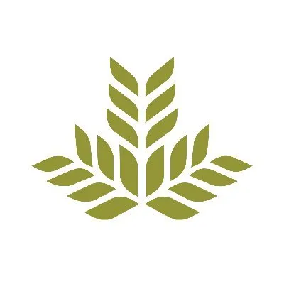 Northeast Georgia Health Ventures logo