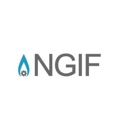 NGIF Cleantech Ventures logo