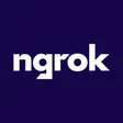 Ngrok-company-logo