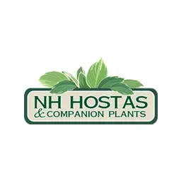 Nhhostas