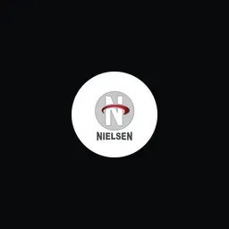 Nielsen Automotive Group logo