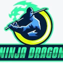 ninjadragons logo