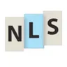 Next Level Strategies logo