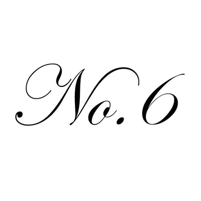 no6store.com logo