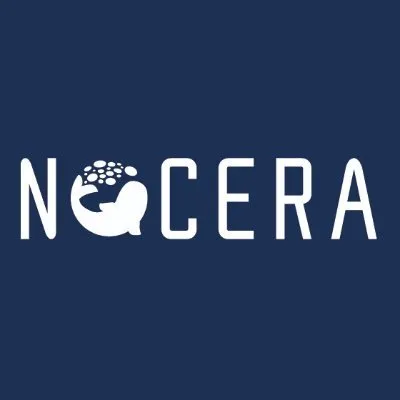Nocera, Inc. logo