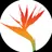 Noches de Colombia logo