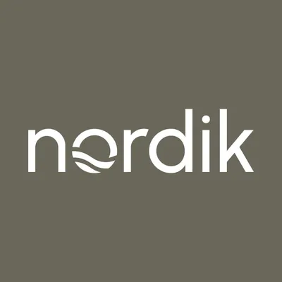 Nordik Recovery logo