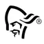 Norrøna logo