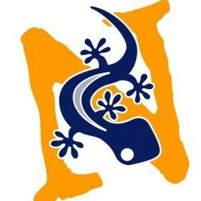 Northern Gecko logo