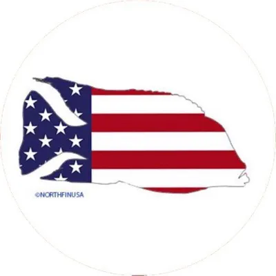 NorthFinUSA logo