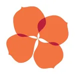 Nt Christian Schools Logo