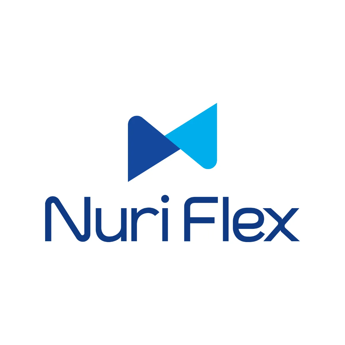 NuriFlex Co.Ltd Logo