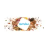 nutsola logo