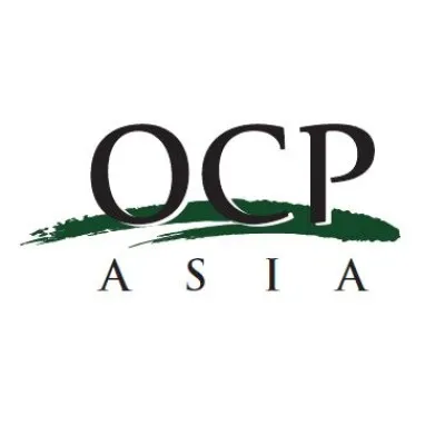 OCP Asia Fund VI LP logo