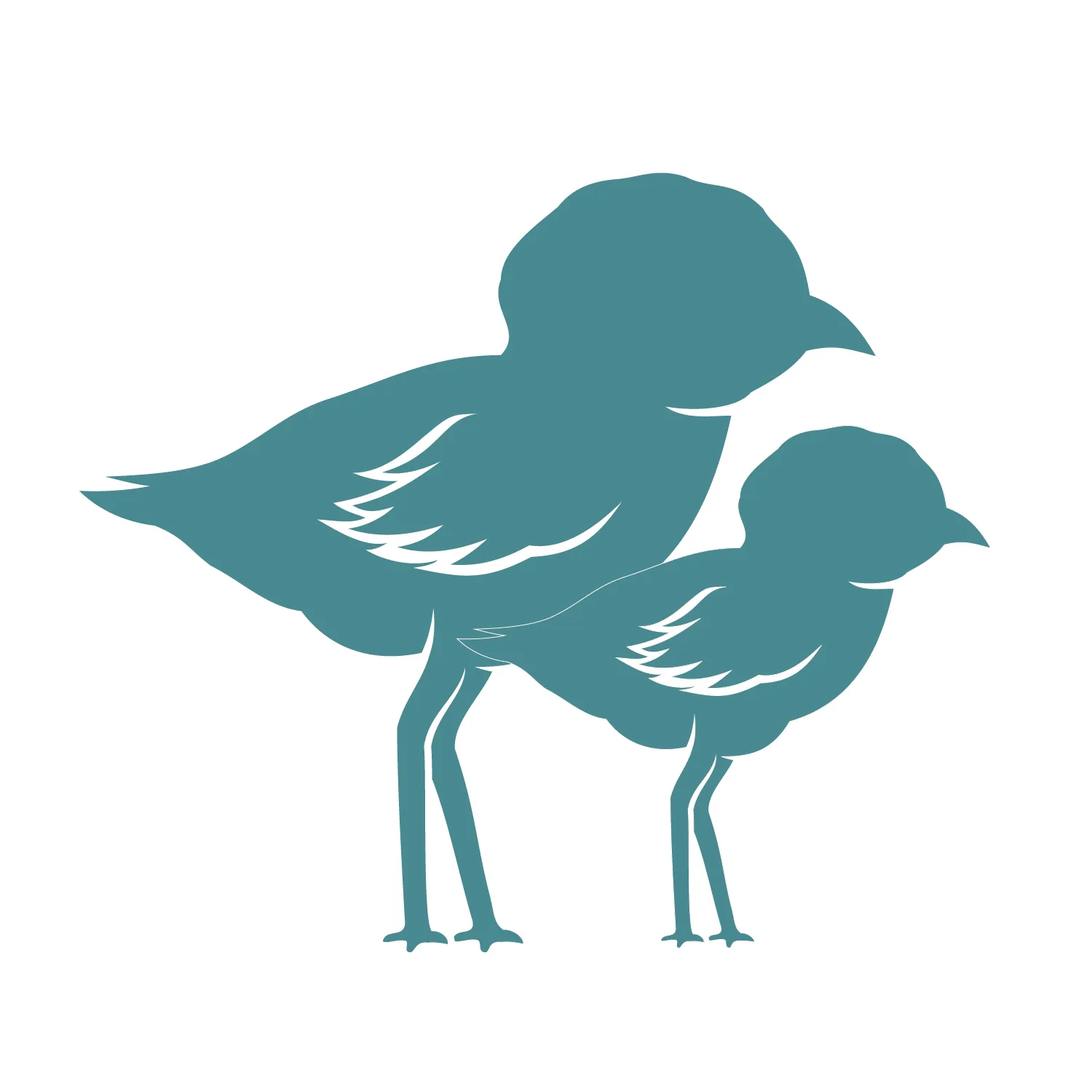Octobergulls