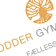 Odder Gymnasium logo